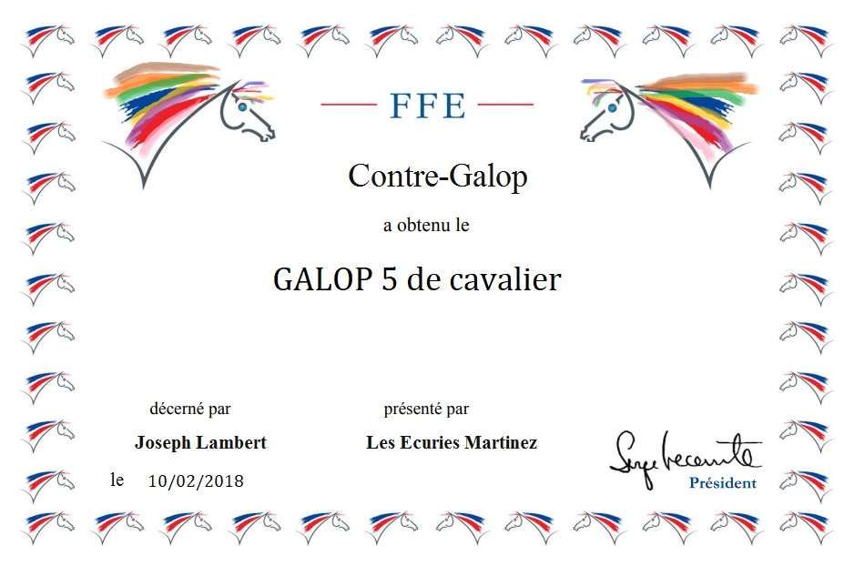 Le Galop 5 : Le guide complet