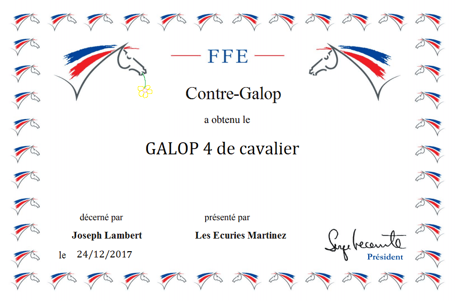 Le Galop 4 : Le guide complet