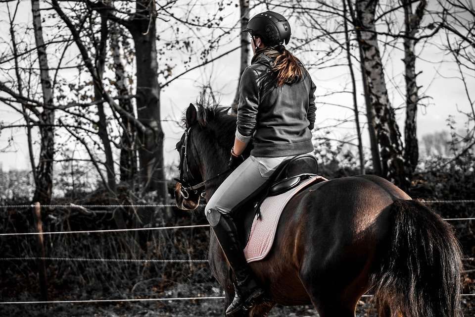 Top 5 des habitudes de cavalier