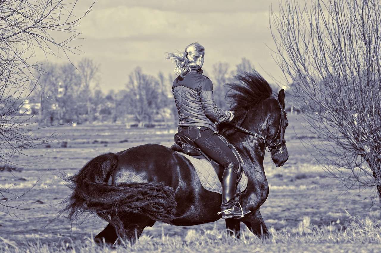 Qu’est-ce que le contre galop ?