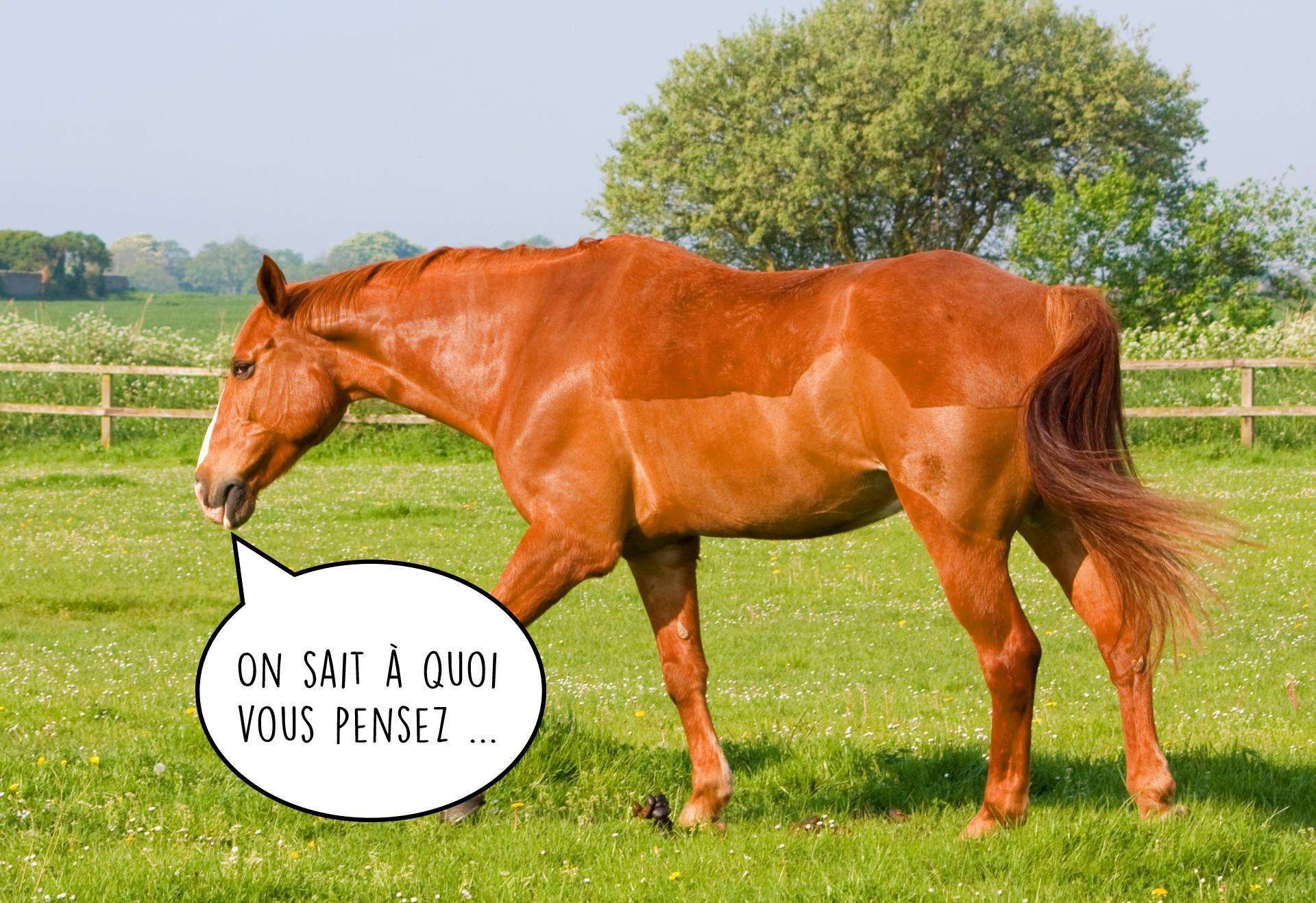 10 mensonges de cavaliers et ce qu’ils veulent dire
