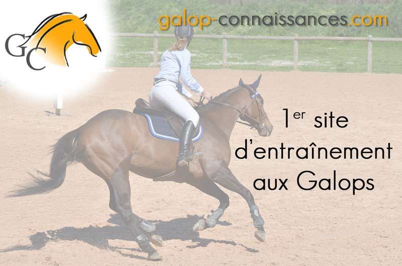 Présentation galops-connaissances.com