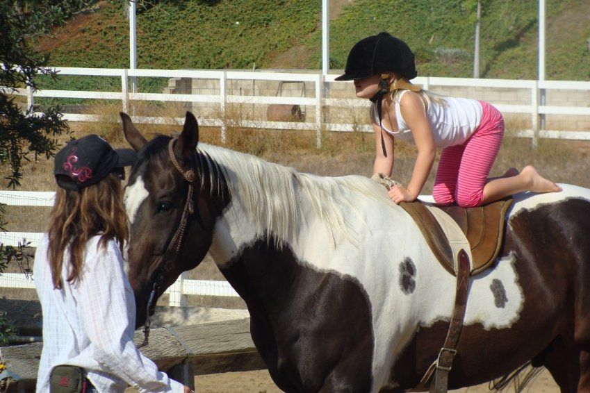 Le premier cours d'équitation : Attentes VS réalité