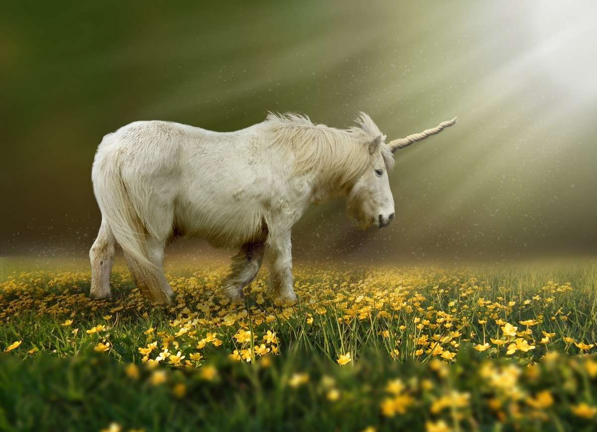 Les 10 faits qui prouvent que tu es une licorne