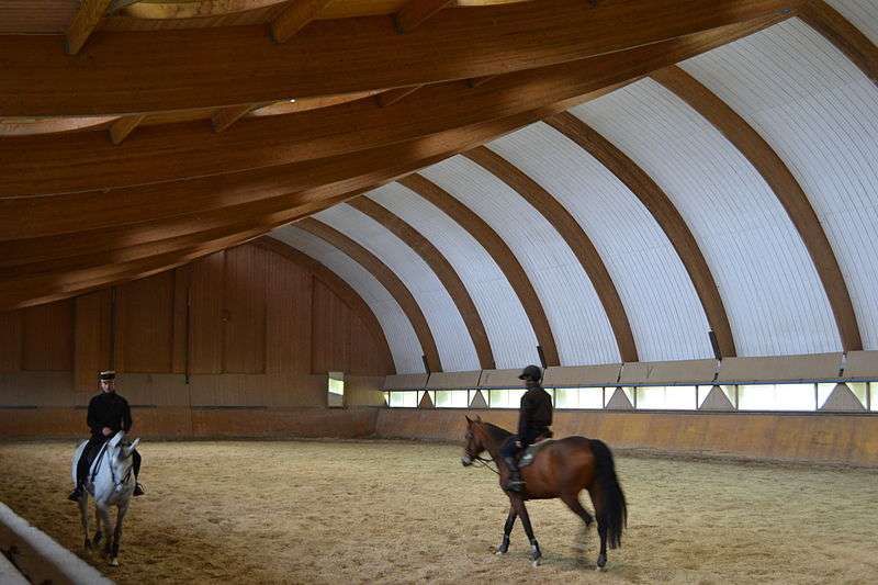 Les pires galères des figures de manège