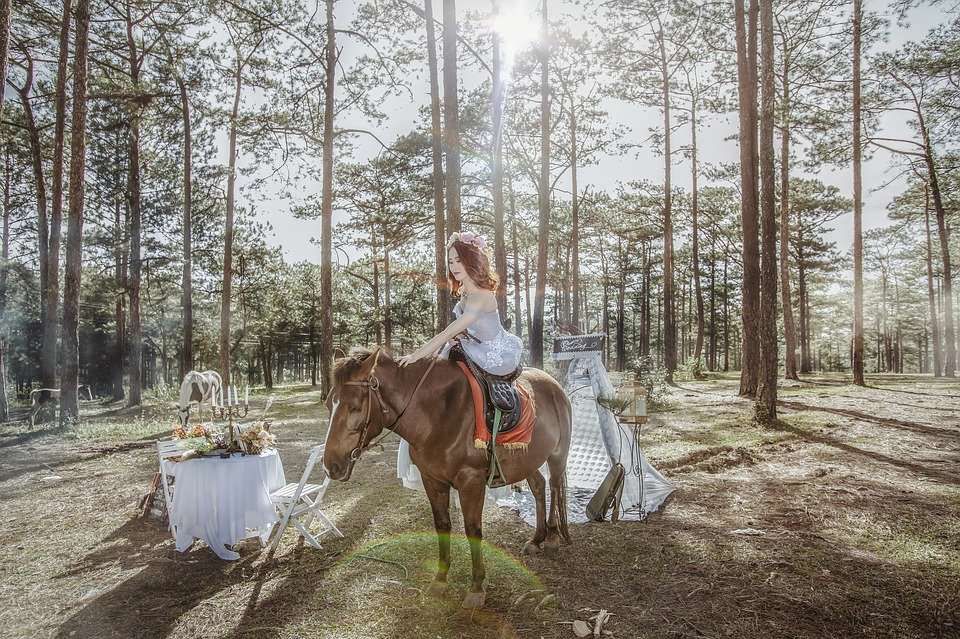 Les bonnes raisons de faire un mariage à cheval