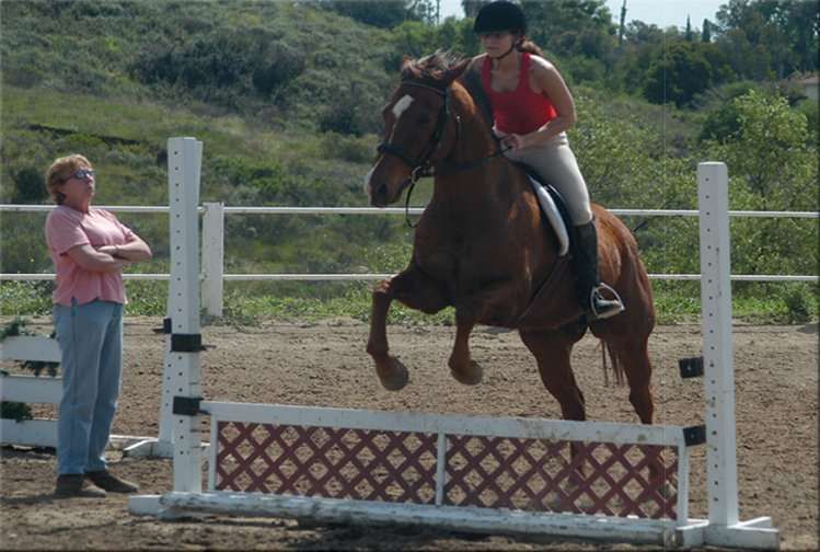 5 commandements du moniteur d'équitation