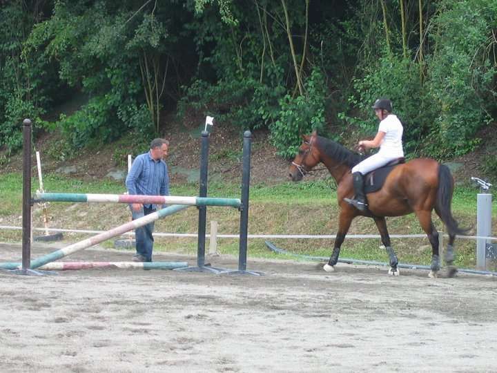 10 perles entendues par les moniteurs d’équitation