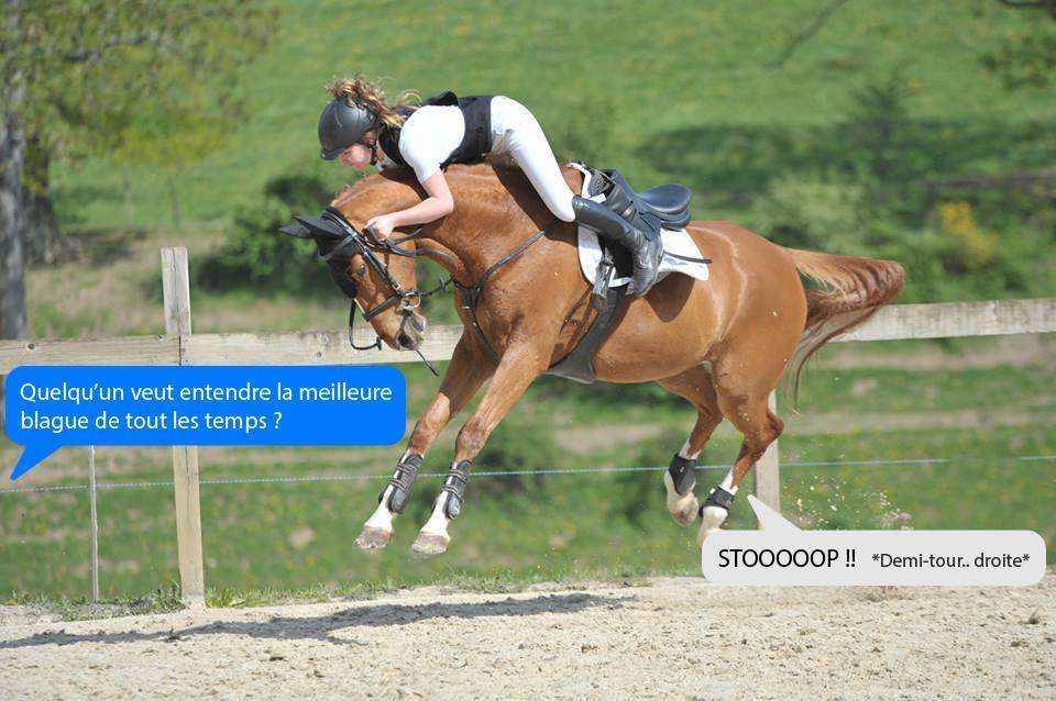 Top 10 des bonnes blagues de concours
