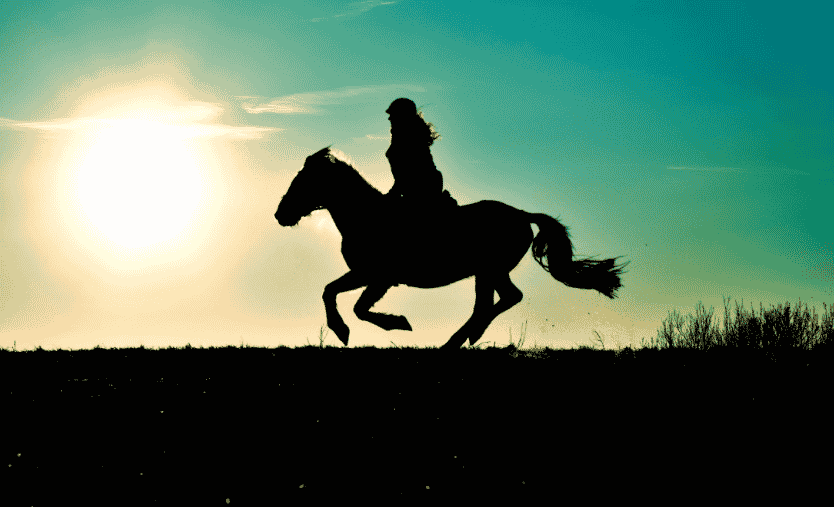Monter à cheval en été : attentes versus réalité