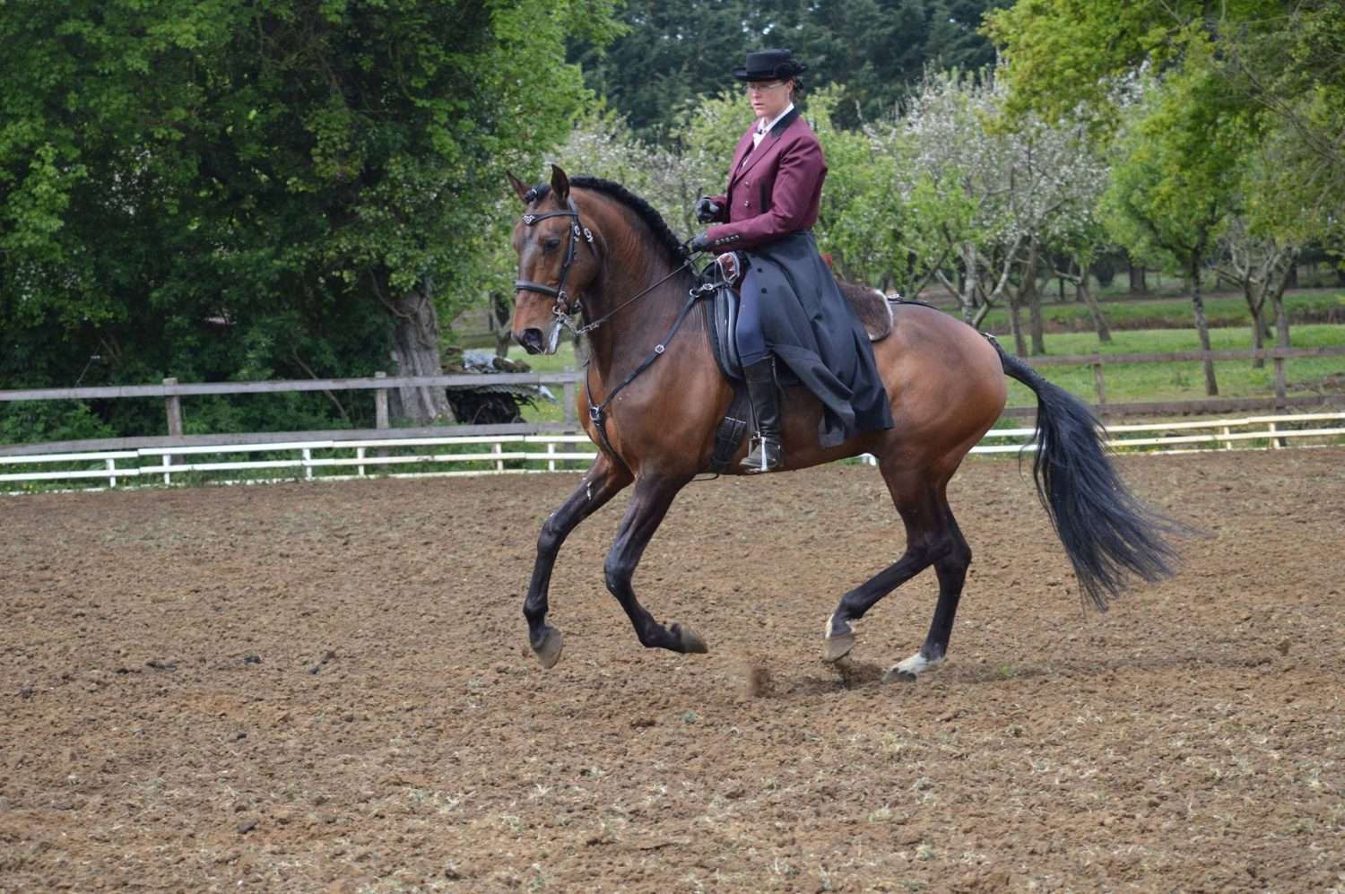 De bonnes raisons de se mettre à l'équitation de travail