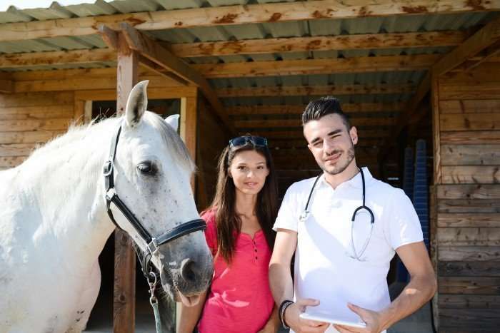 5 astuces pour sortir avec un non cavalier