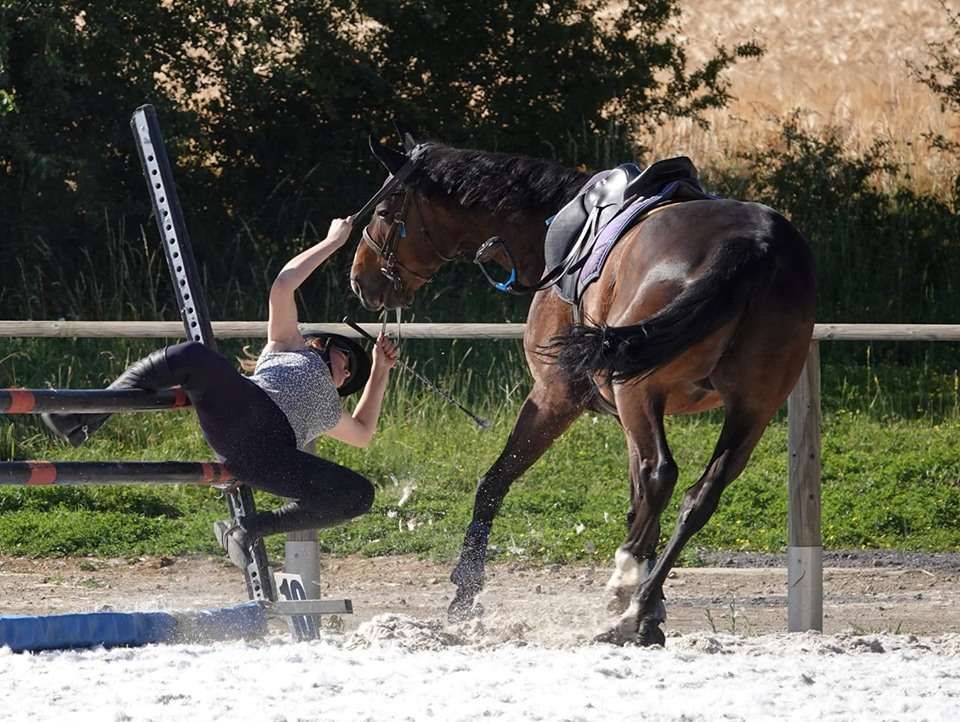 Top 10 des raisons de préférer l’équitation aux autres sports