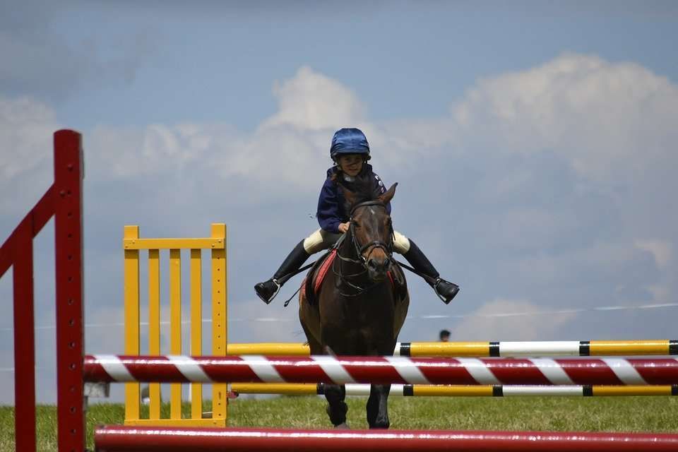 Ces différents cavaliers qu’on croise au paddock de CSO