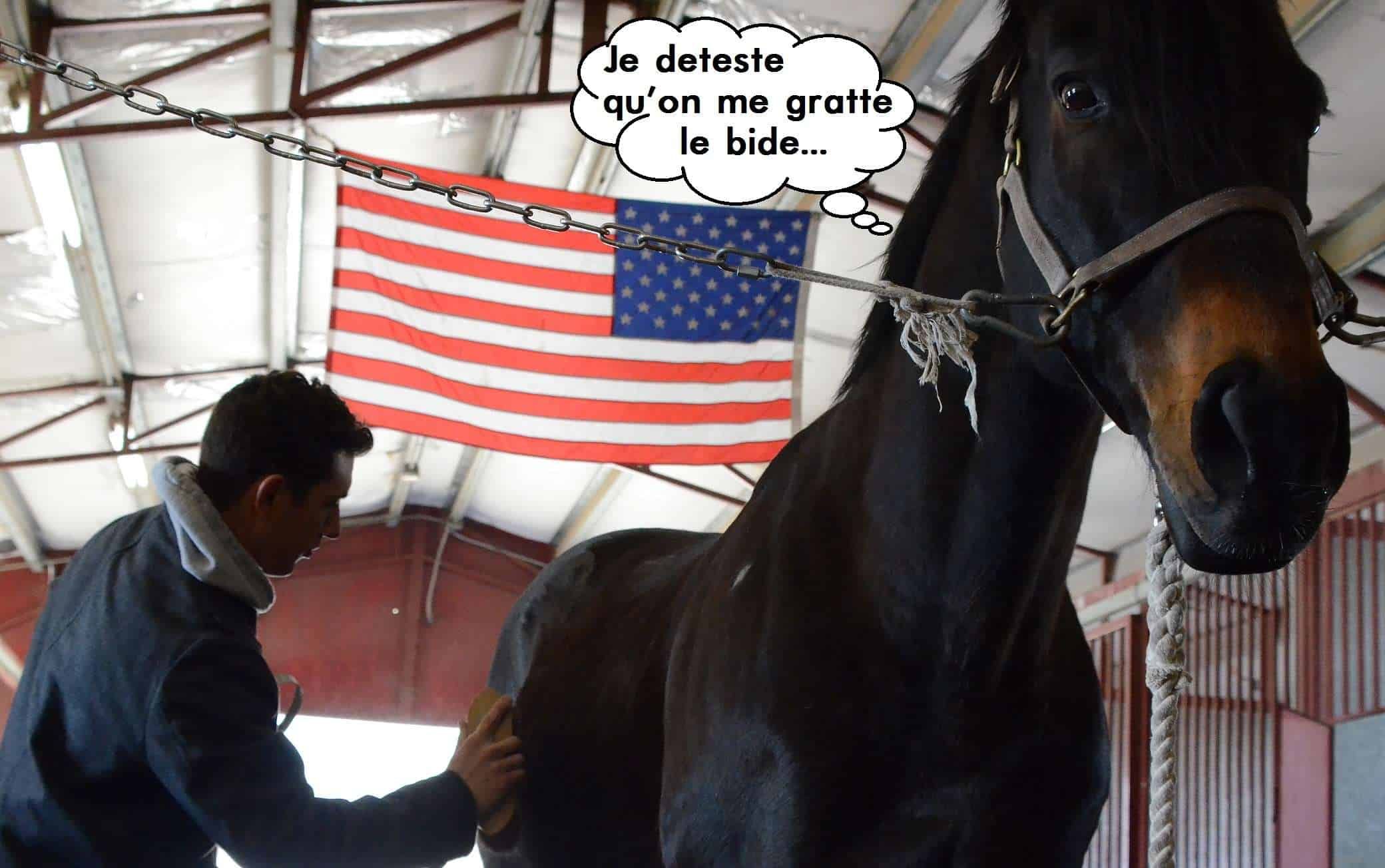 5 manies de cavalier qui rendent dingues nos chevaux