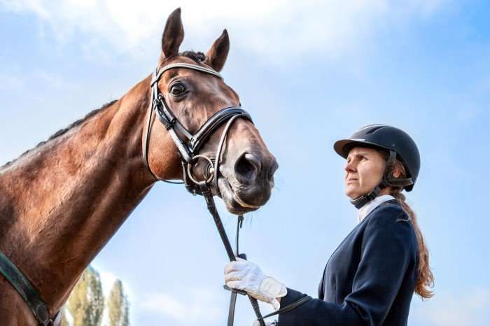 Le kit de survie extrême du cavalier de concours paniqué