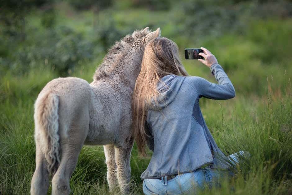 Dix photos de cheval qu’on a tous prises (mais maintenant il faut arrêter)