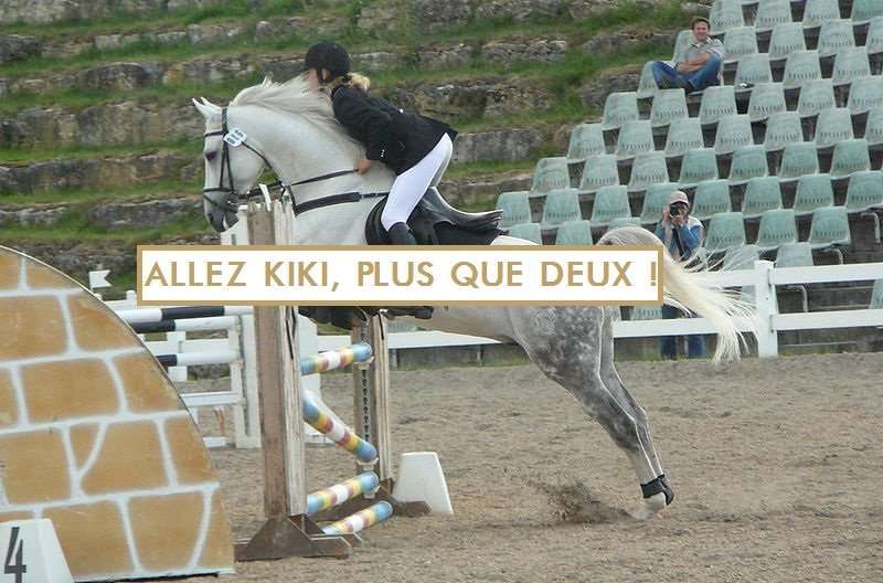 Ces phrases de cavalier qu'on dit tous à notre cheval
