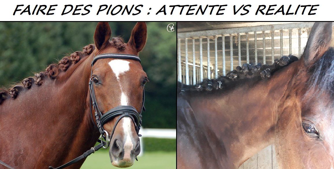 Top 5 des coiffures de poney ratées