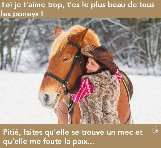 10 bonnes raisons de préférer le poney aux mecs