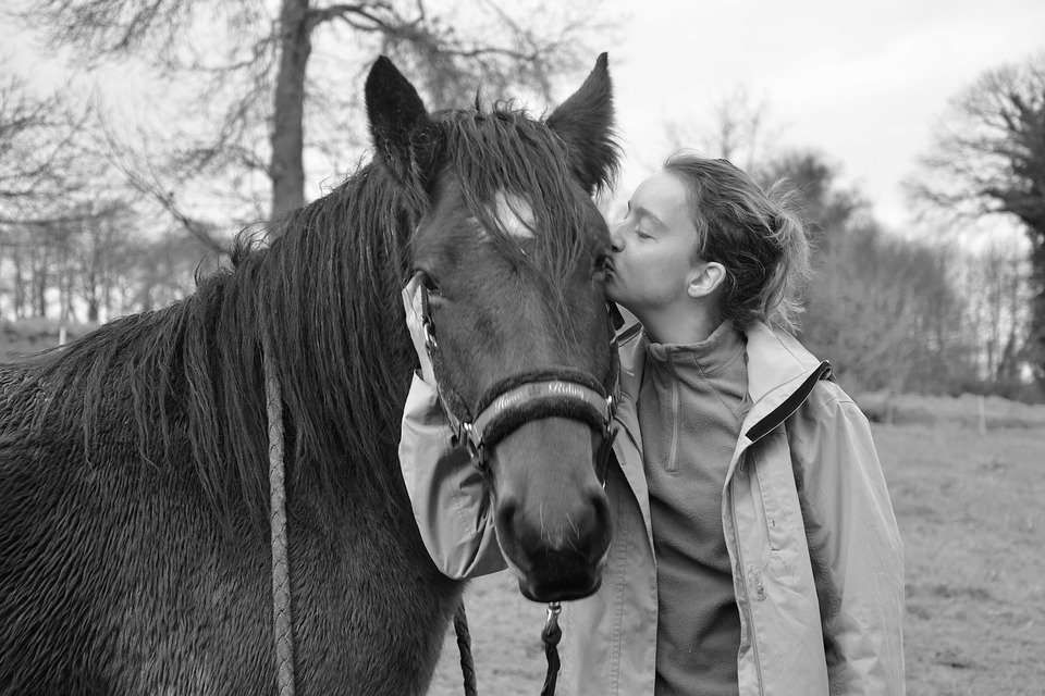 Les 5 sentiments du nouveau propriétaire de cheval