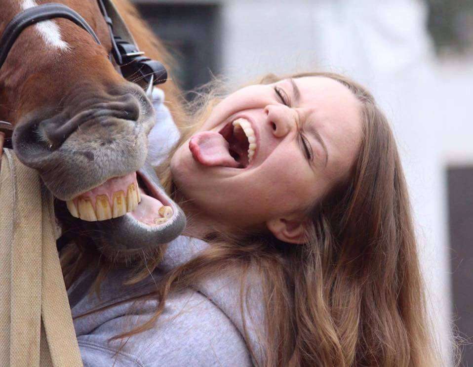 Top 5 des choses que font les propriétaires de chevaux