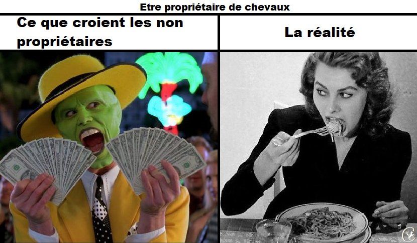 Ces phrases de cavalier de club qui agacent les proprios