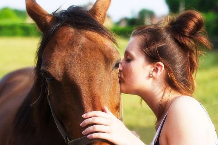10 qualités du cavalier indispensables