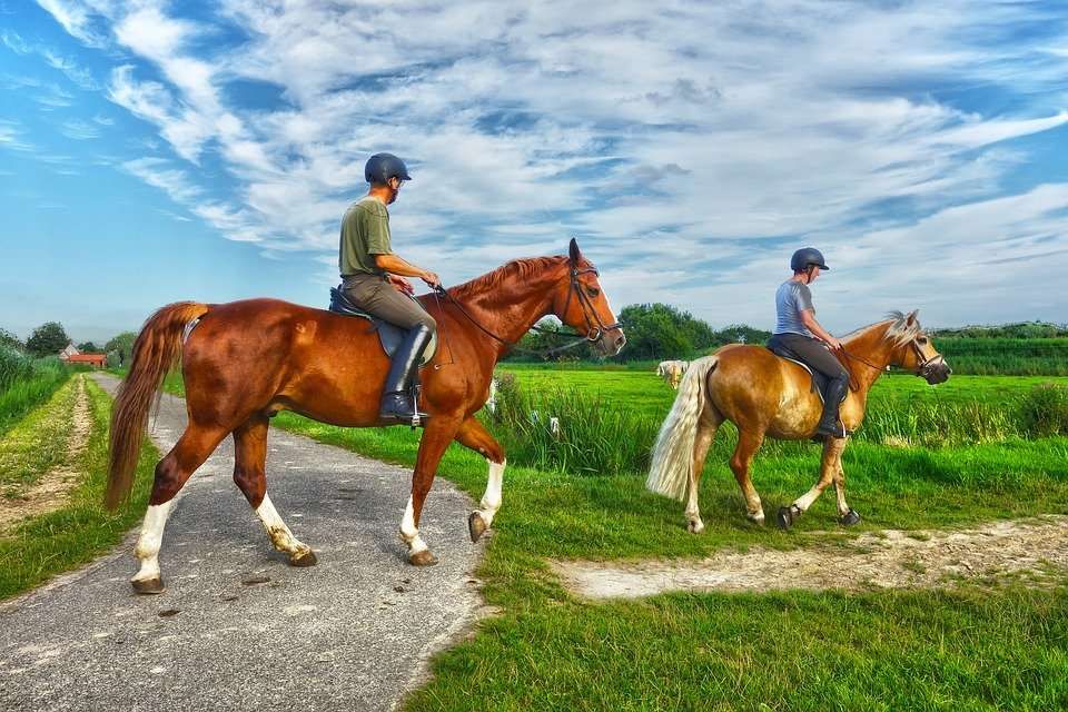 5 bonnes raisons de reprendre l'équitation à la rentrée