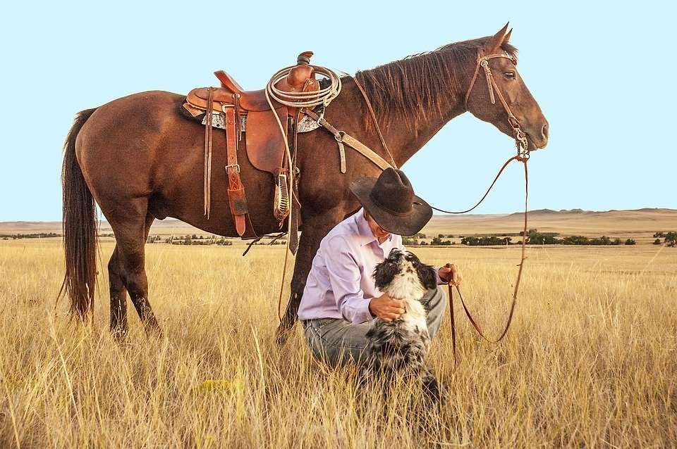 Top des raisons de se mettre à l'équitation western