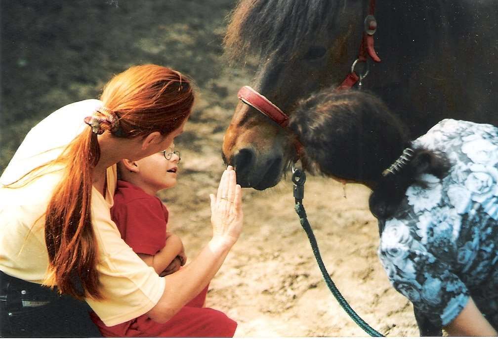 Equithérapie : Quand le cheval devient soignant