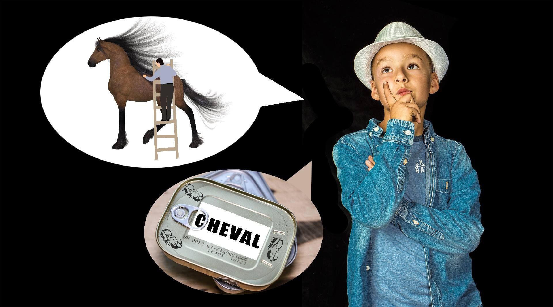 Top 10 des expressions avec le mot cheval