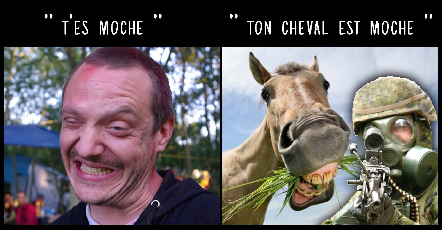 Les pires insultes équestres, vraiment trop méchantes