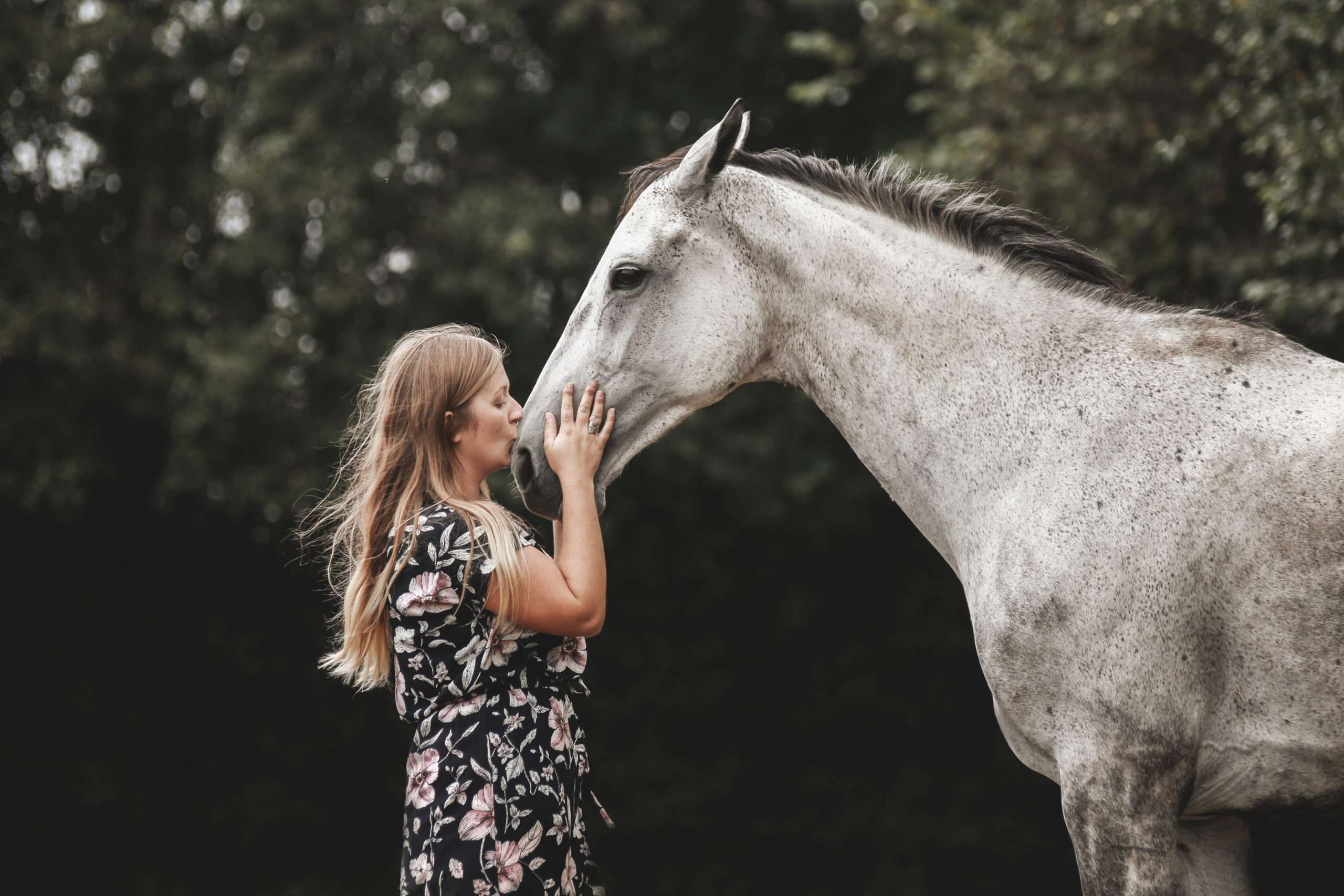 Adopter un cheval réformé de courses