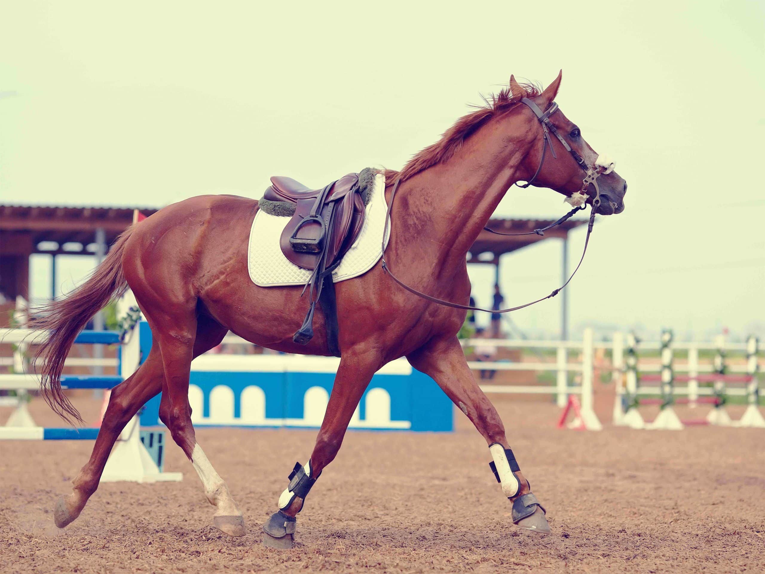 5 astuces pour rester en selle en toutes circonstances