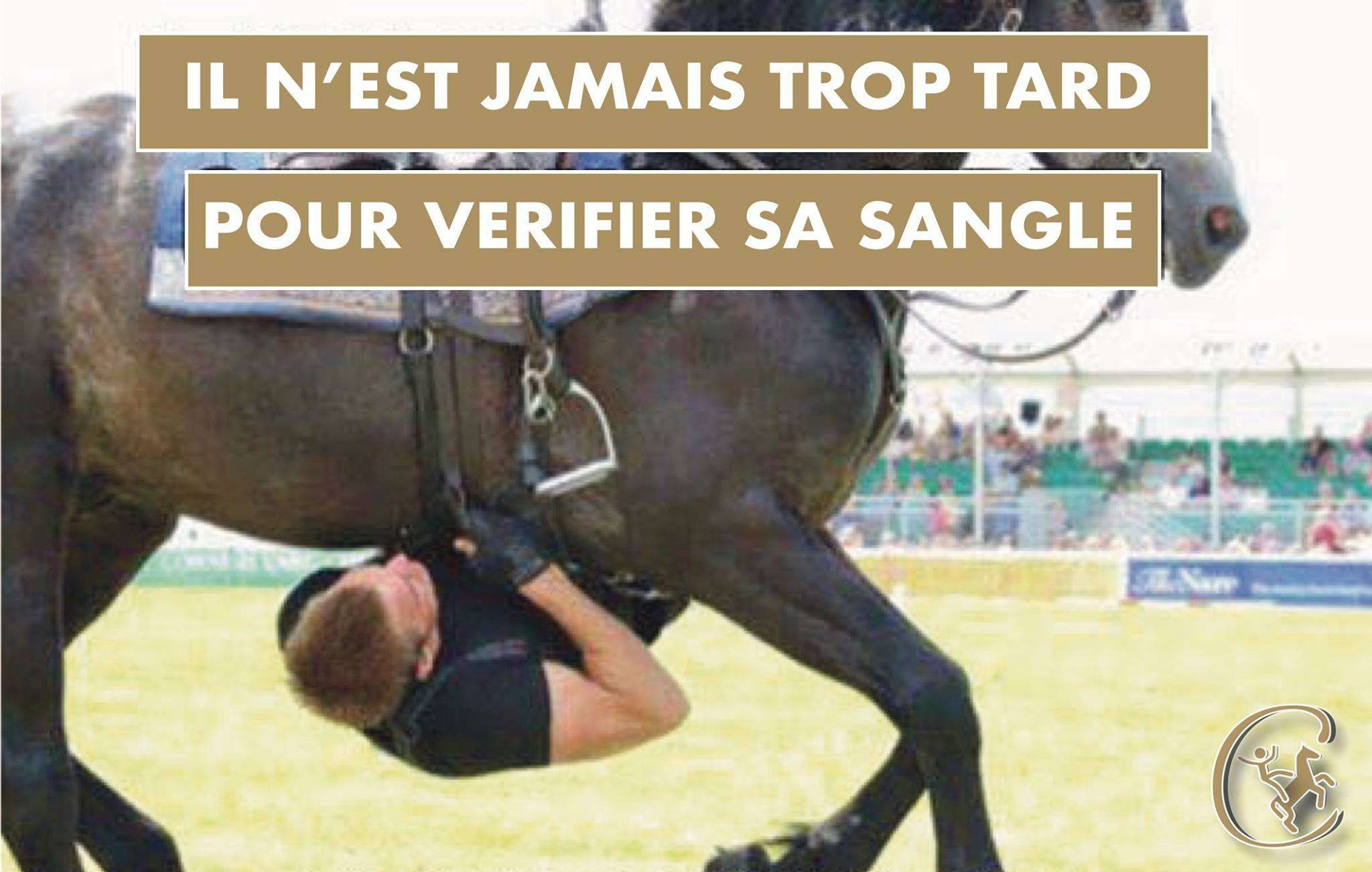 5 trucs que seul un cavalier maladroit connaîtra