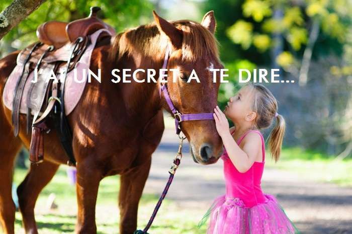 Ces petits secrets de cavalier inavouables