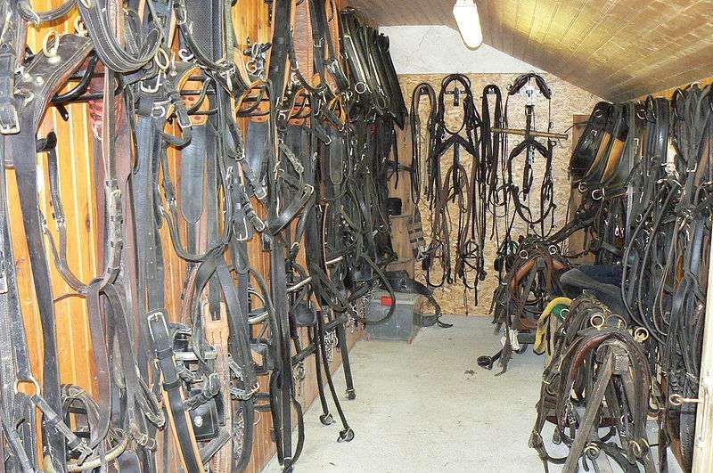 Ces trucs de cheval qu'on voudrait avoir tout le temps avec nous