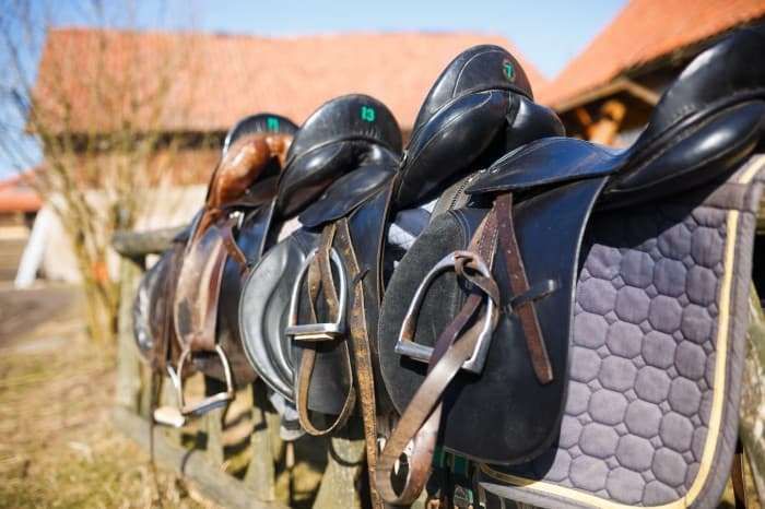Quelle selle pour mon cheval ?