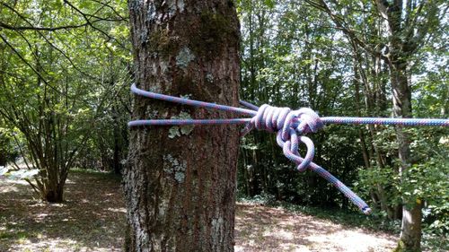 Tuto : Une ligne d’attache bien tendue