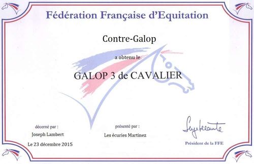 Le Galop 3 : Le guide complet