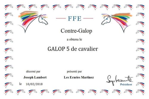 Le Galop 5 : Le guide complet