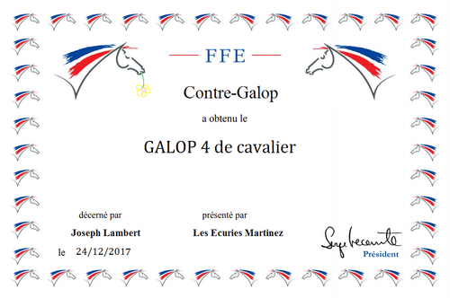 Le Galop 4 : Le guide complet