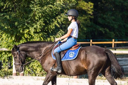 Les enrênements : Le guide complet