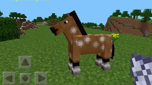 Top 10 des jeux vidéos équestres