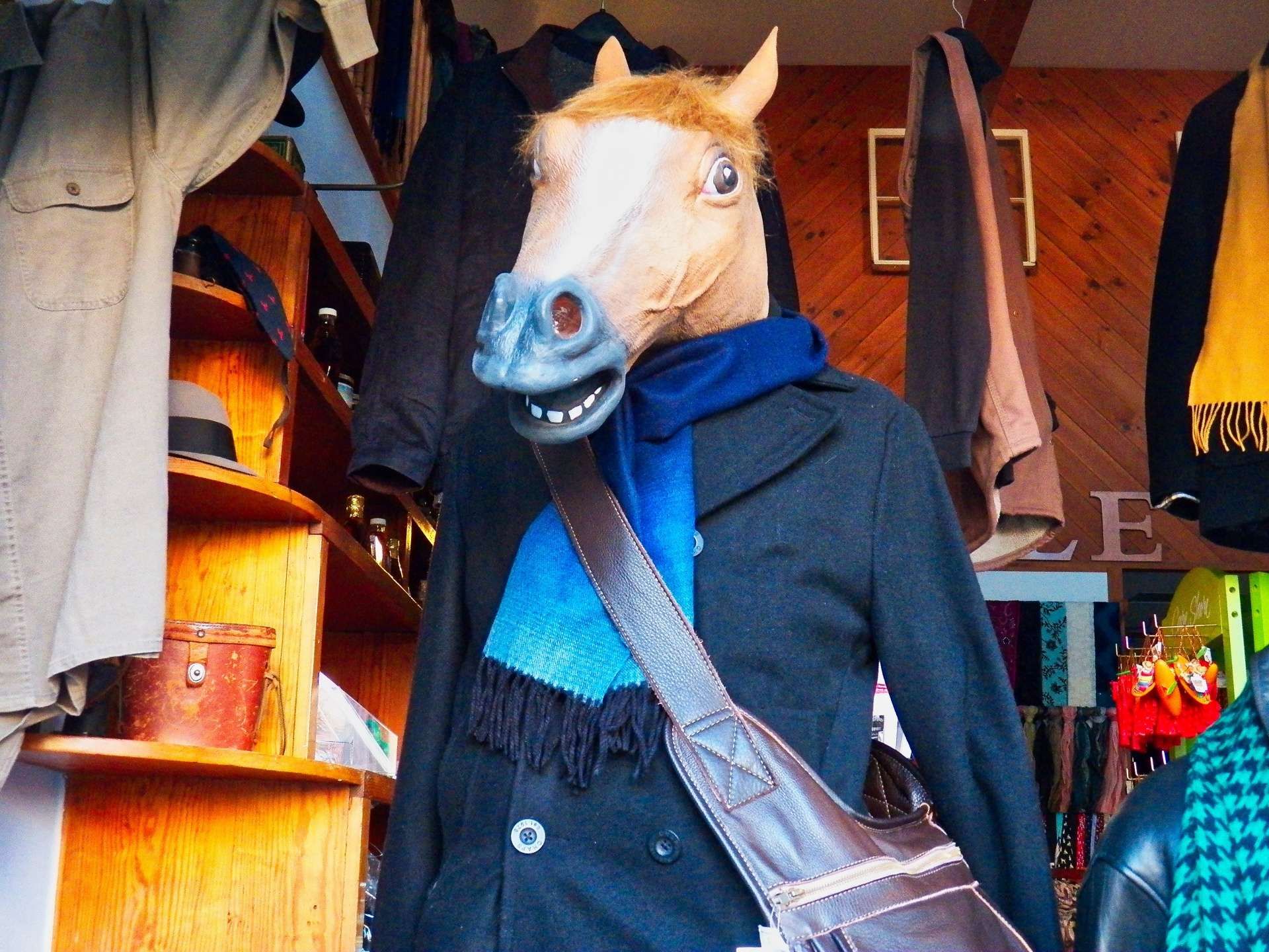 Nos meilleures idées de cadeau pour cavalier, pour un anniversaire « so horsy »