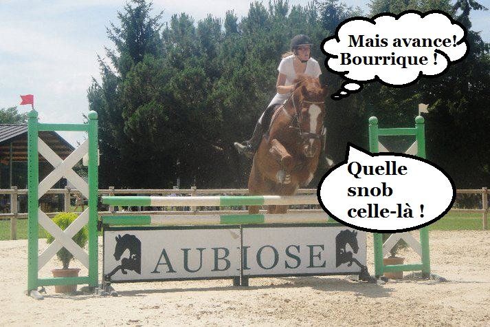 Les types de cavaliers de CSO vus par les chevaux