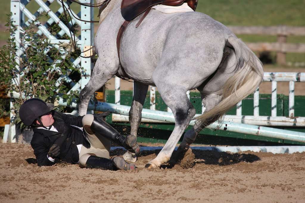 Top 10 des fails en concours d’obstacles, le seum ultime
