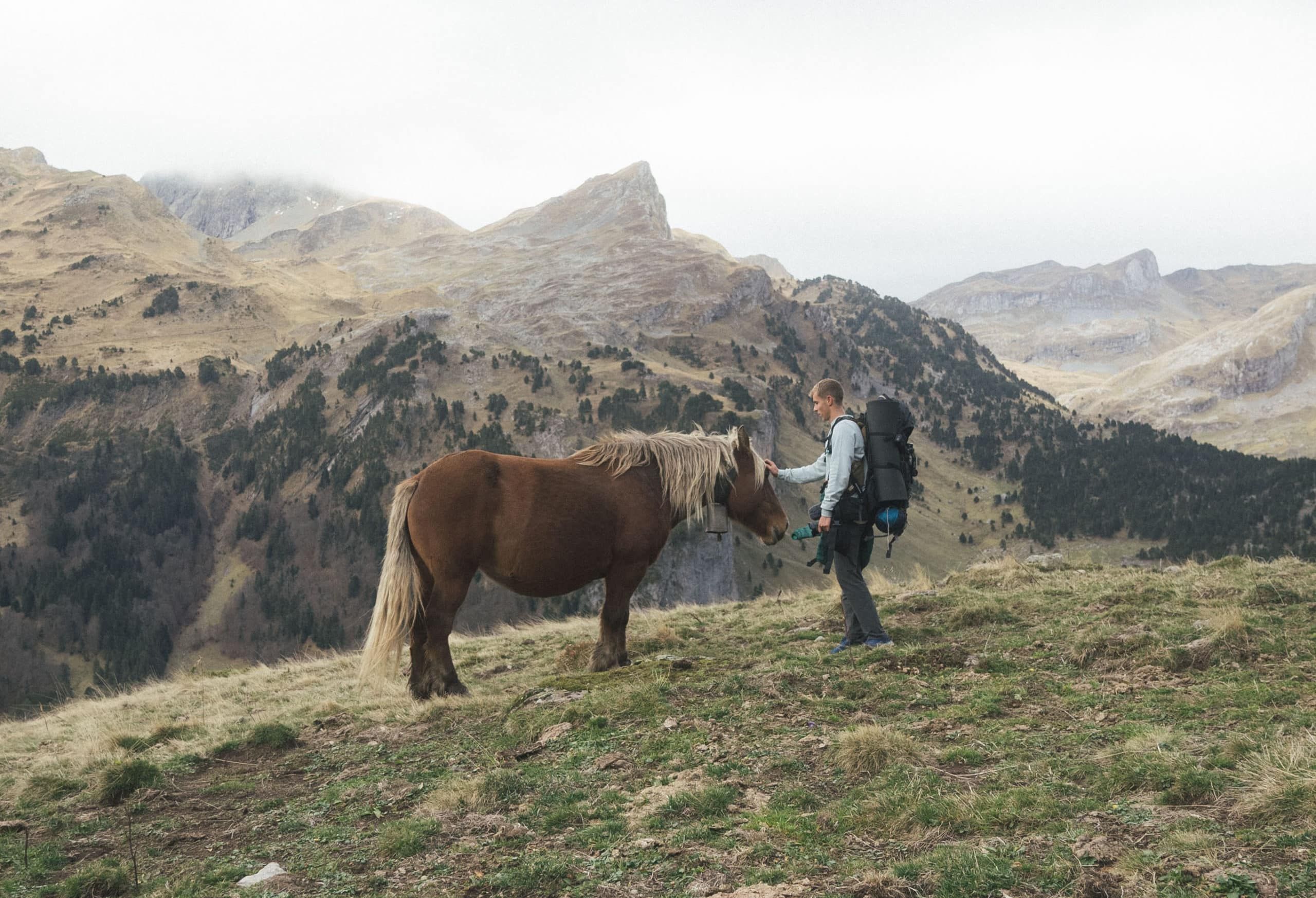 Le tourisme équestre : qu’est-ce que c’est ?
