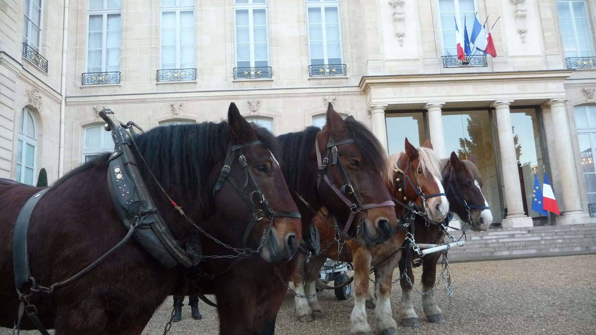 Qu'est-ce que la SFET ?